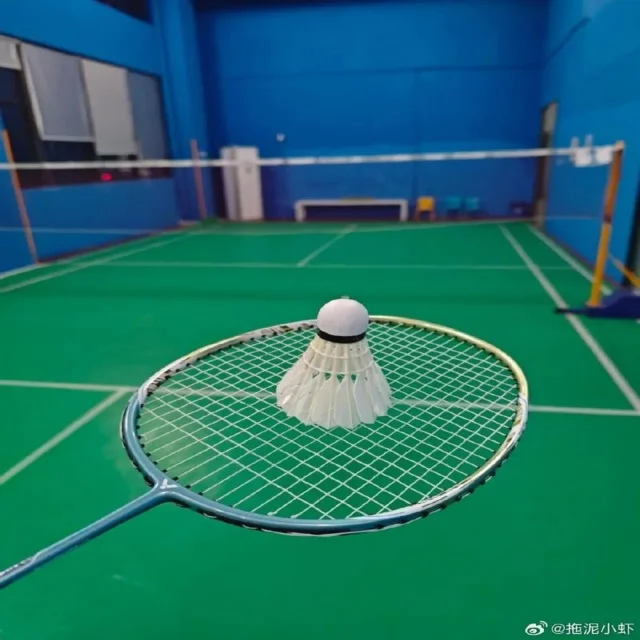 用户互动